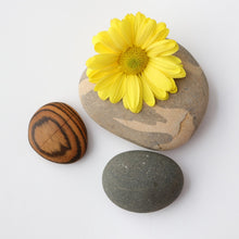 Load image into Gallery viewer, Pebble Ring Box